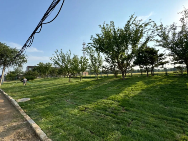 开yun体育网新增设草坪绿化面积约26000余平时米-开云「中国集团」Kaiyun·官方网站-登录入口